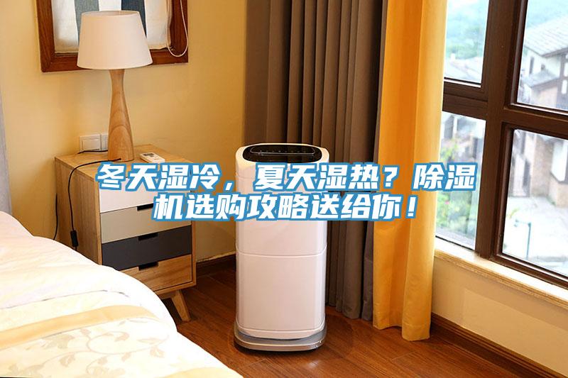 冬天湿冷，夏天湿热？91免费网站在线观看选购攻略送给你！