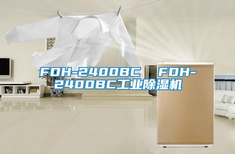 FDH-2400BC  FDH-2400BC工业91免费网站在线观看