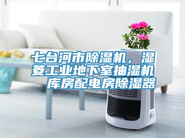 七台河市91免费网站在线观看，湿菱工业地下室抽湿机  库房配电房除湿器