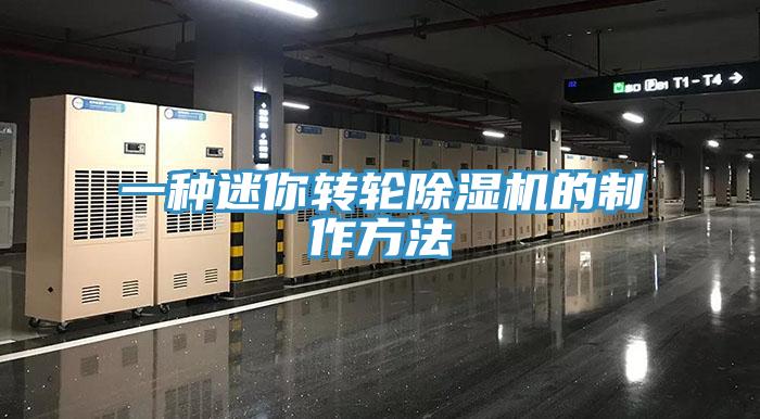 一种迷你转轮91免费网站在线观看的制作方法