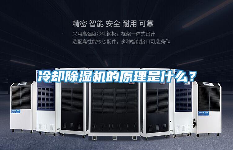 冷却91免费网站在线观看的原理是什么？