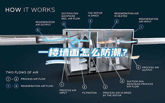 一楼墙面怎么防潮？