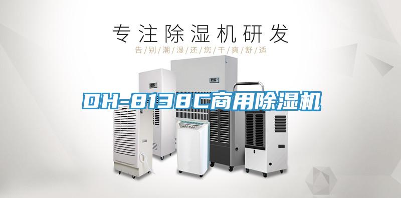 DH-8138C商用91免费网站在线观看