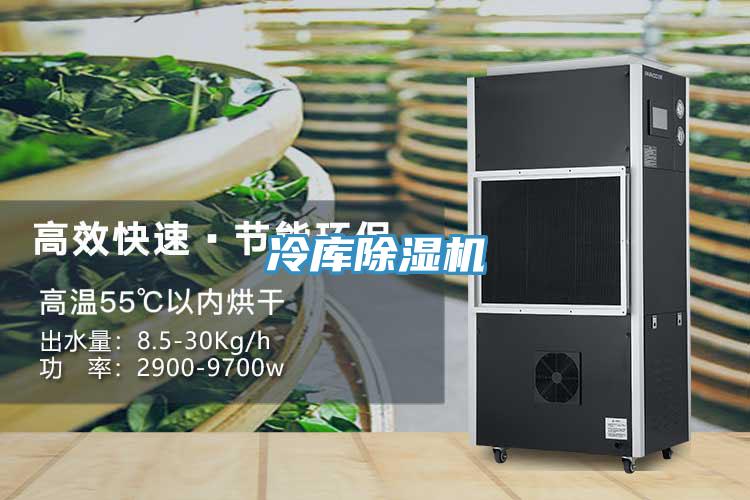 冷库91免费网站在线观看
