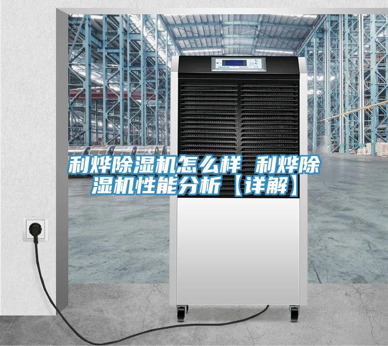 利烨91免费网站在线观看怎么样 利烨91免费网站在线观看性能分析【详解】