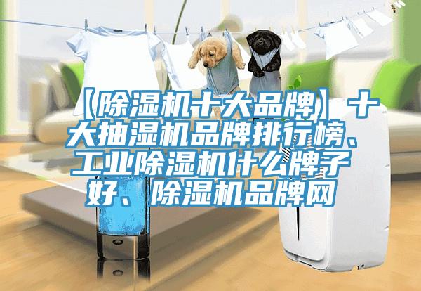 【91免费网站在线观看十大品牌】十大抽湿机品牌排行榜、工业91免费网站在线观看什么牌子好、91免费网站在线观看品牌网