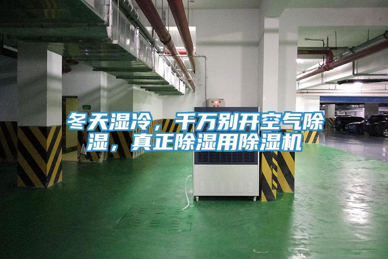 冬天湿冷，千万别开空气除湿，真正除湿用91免费网站在线观看