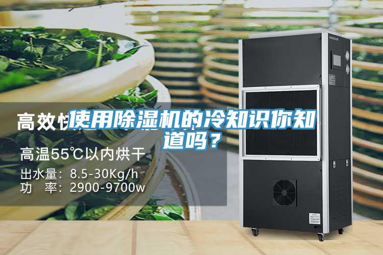 使用91免费网站在线观看的冷知识你知道吗？