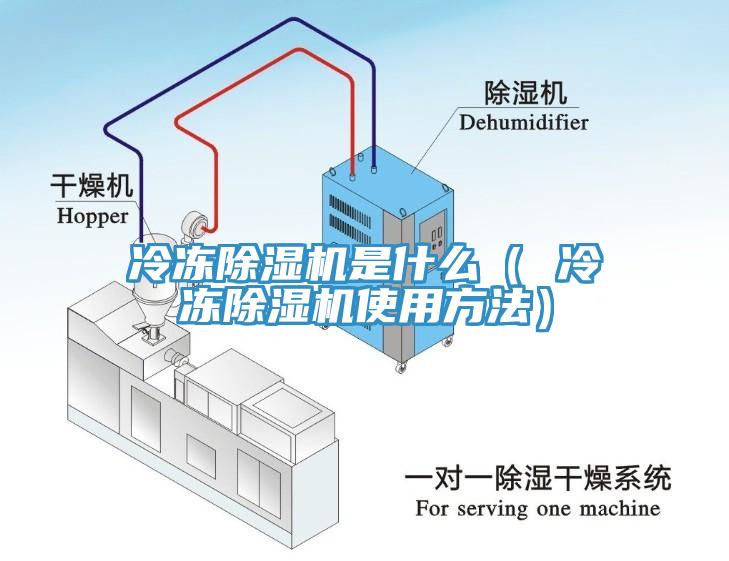 冷冻91免费网站在线观看是什么（ 冷冻91免费网站在线观看使用方法）