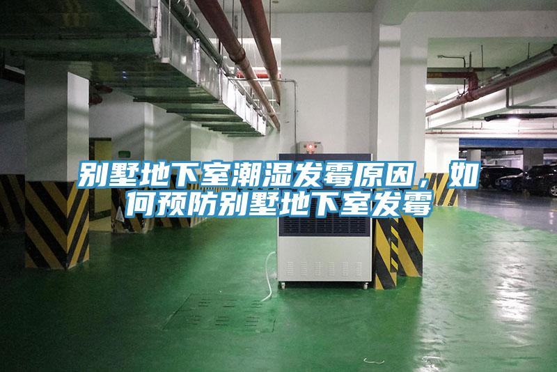 别墅地下室潮湿发霉原因，如何预防别墅地下室发霉