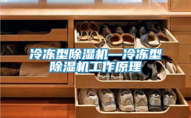 冷冻型91免费网站在线观看—冷冻型91免费网站在线观看工作原理
