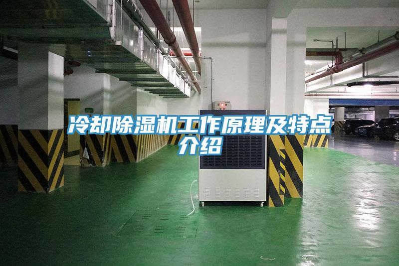 冷却91免费网站在线观看工作原理及特点介绍