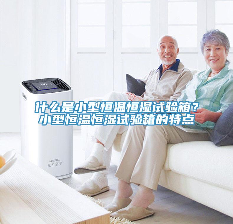 什么是小型恒温恒湿试验箱？小型恒温恒湿试验箱的特点