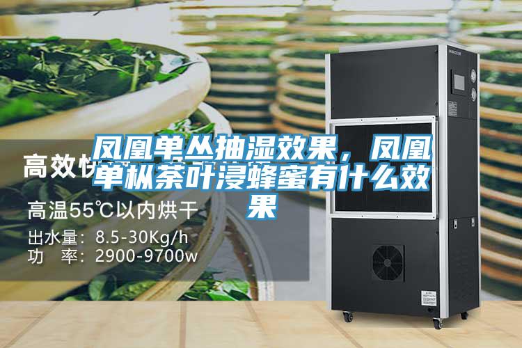 凤凰单丛抽湿效果，凤凰单枞荼叶浸蜂蜜有什么效果