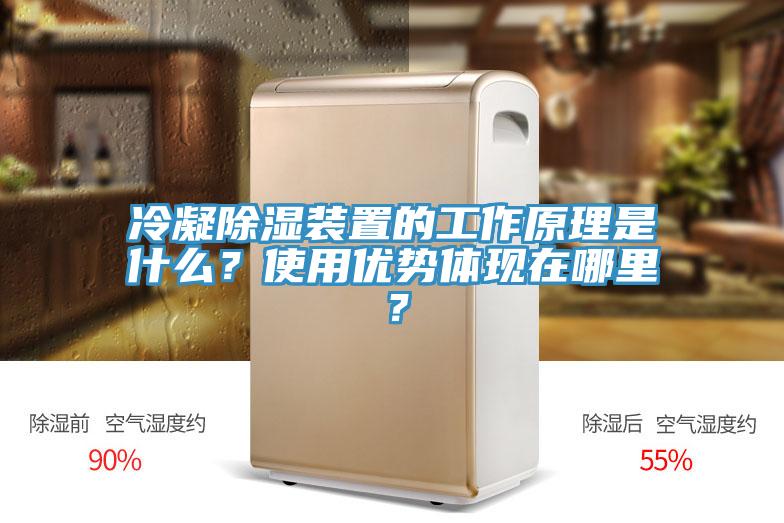 冷凝除湿装置的工作原理是什么？使用优势体现在哪里？