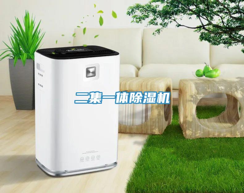 二集一体91免费网站在线观看