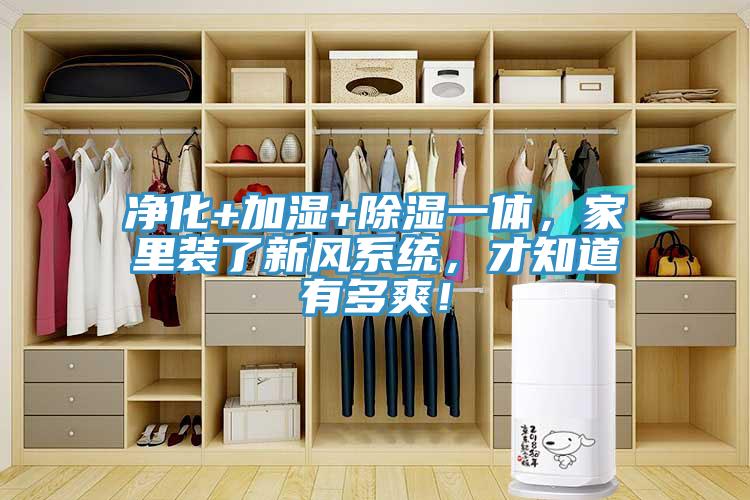 净化+加湿+除湿一体，家里装了新风系统，才知道有多爽！