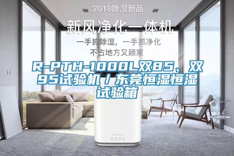 R-PTH-1000L双85、双95试验机／东莞恒湿恒湿试验箱