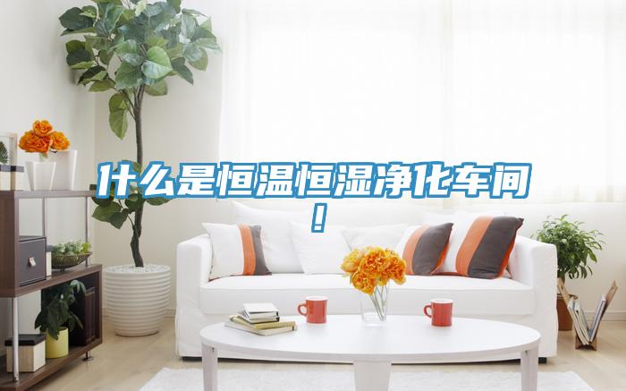 什么是恒温恒湿净化车间！