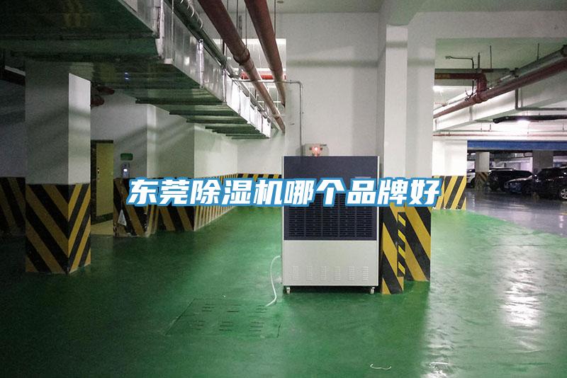 东莞91免费网站在线观看哪个品牌好