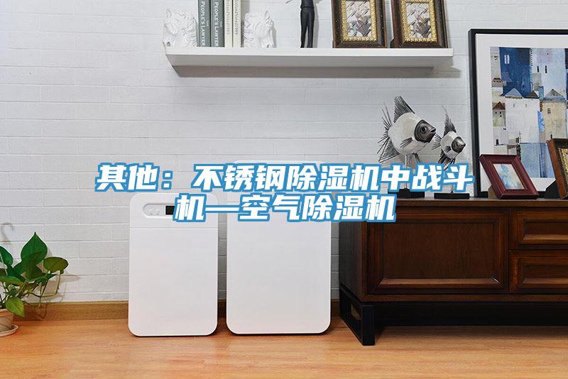其他：不锈钢91免费网站在线观看中战斗机—空气91免费网站在线观看
