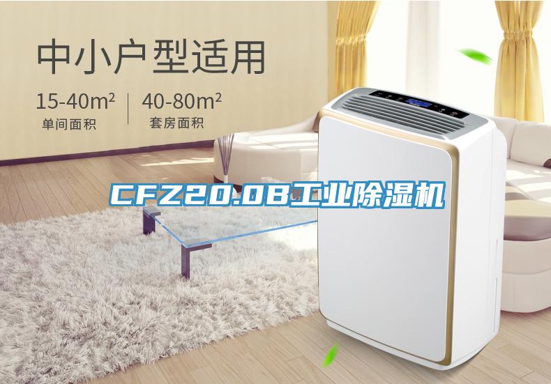 CFZ20.0B工业91免费网站在线观看