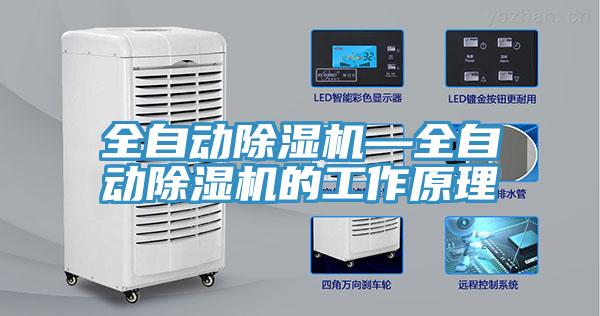 全自动91免费网站在线观看—全自动91免费网站在线观看的工作原理