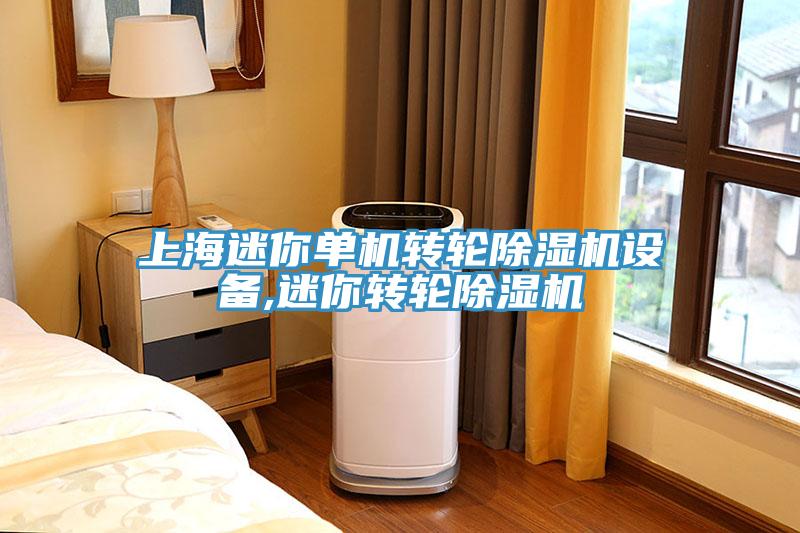 上海迷你单机转轮91免费网站在线观看设备,迷你转轮91免费网站在线观看