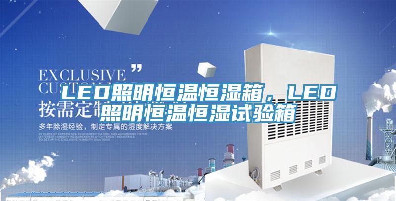 LED照明恒温恒湿箱，LED照明恒温恒湿试验箱