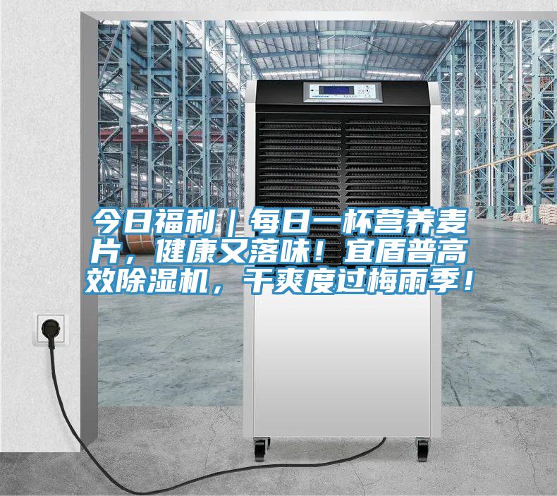 今日福利｜每日一杯营养麦片，健康又落味！宜盾普高效91免费网站在线观看，干爽度过梅雨季！