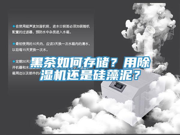 黑茶如何存储？用91免费网站在线观看还是硅藻泥？