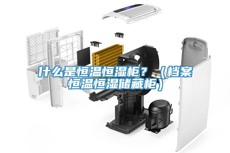 什么是恒温恒湿柜？（档案恒温恒湿储藏柜）