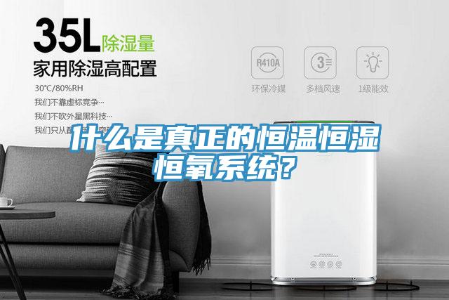 什么是真正的恒温恒湿恒氧系统？