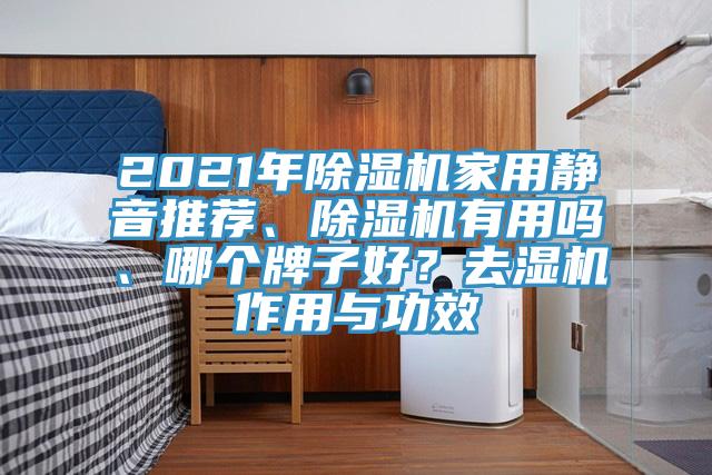 2021年91免费网站在线观看家用静音推荐、91免费网站在线观看有用吗、哪个牌子好？去湿机作用与功效
