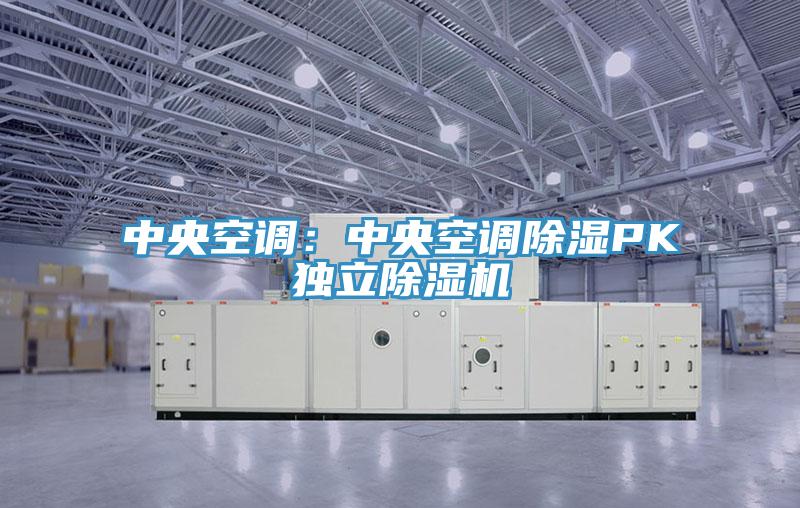 中央空调：中央空调除湿PK独立91免费网站在线观看