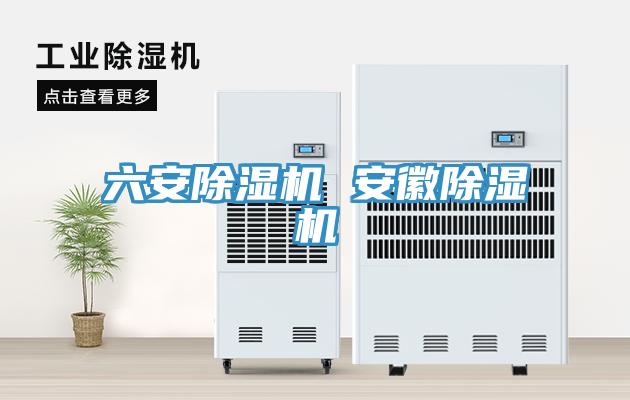 六安91免费网站在线观看 安徽91免费网站在线观看