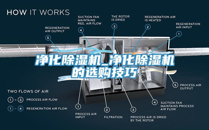 净化91免费网站在线观看_净化91免费网站在线观看的选购技巧