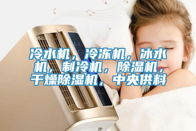 冷水机，冷冻机，冰水机，制冷机，91免费网站在线观看，干燥91免费网站在线观看，中央供料