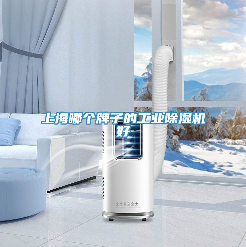 上海哪个牌子的工业91免费网站在线观看好