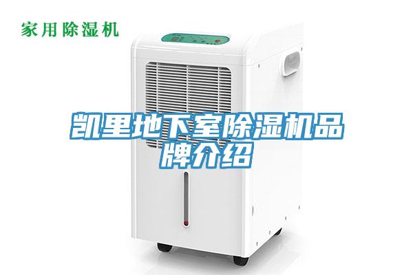 凯里地下室91免费网站在线观看品牌介绍