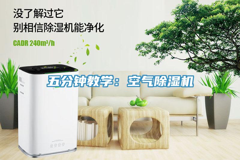 五分钟教学：空气91免费网站在线观看