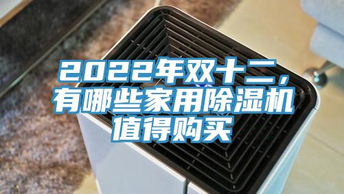 2022年双十二，有哪些家用91免费网站在线观看值得购买