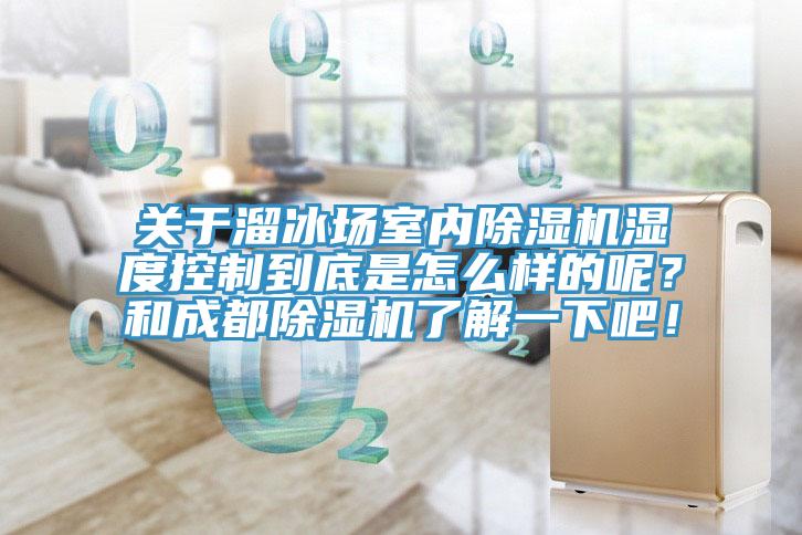 关于溜冰场室内91免费网站在线观看湿度控制到底是怎么样的呢？和成都91免费网站在线观看了解一下吧！