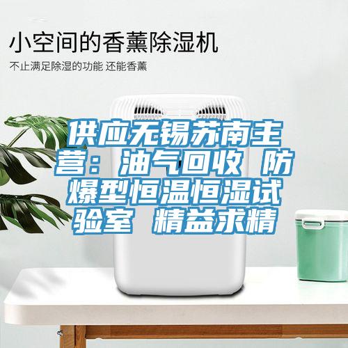 供应无锡苏南主营：油气回收 防爆型恒温恒湿试验室 精益求精