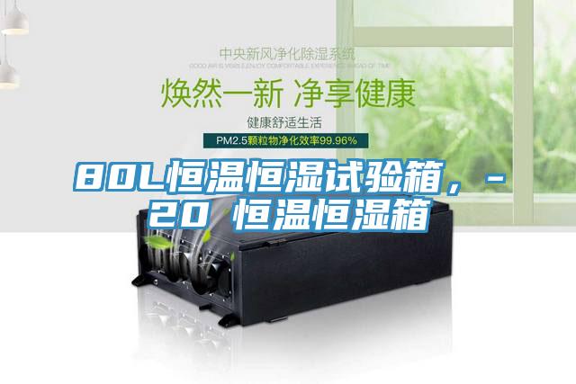 80L恒温恒湿试验箱，-20℃恒温恒湿箱