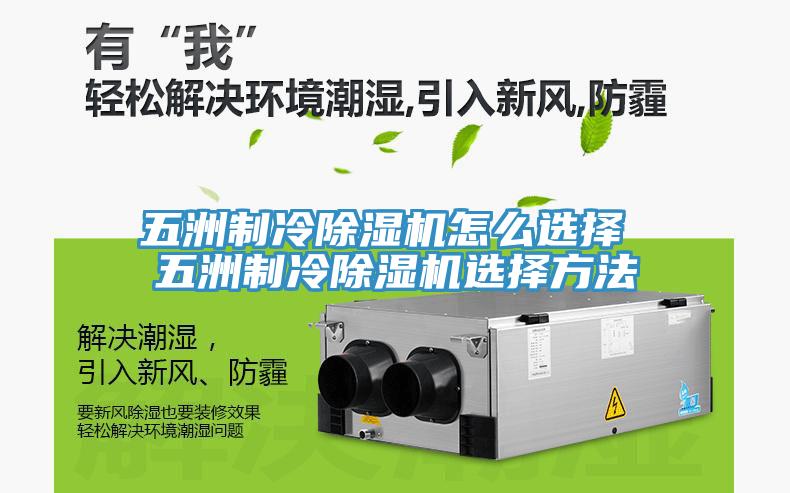 五洲制冷91免费网站在线观看怎么选择 五洲制冷91免费网站在线观看选择方法