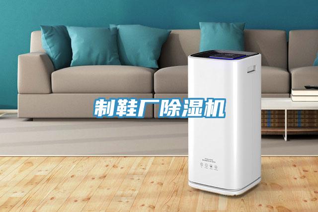制鞋厂91免费网站在线观看