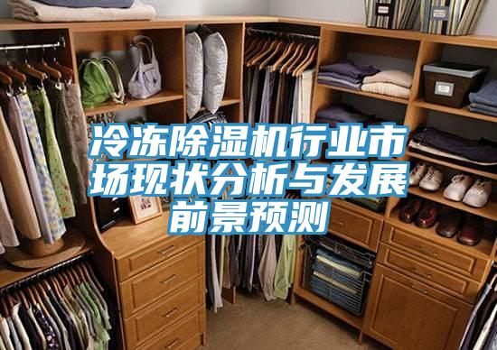 冷冻91免费网站在线观看行业市场现状分析与发展前景预测