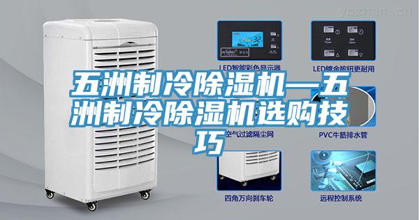 五洲制冷91免费网站在线观看—五洲制冷91免费网站在线观看选购技巧