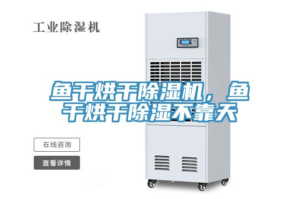 鱼干烘干91免费网站在线观看，鱼干烘干除湿不靠天